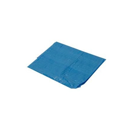Harpster Of Philipsburg Light Duty Tarp, 6 ft x 8 ft, Blue, High-Density Polyethylene B6x8